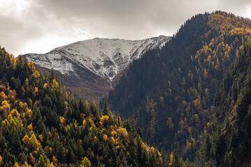 Obraz premium Snow mountains with autumn landscapes in the west of Sichuan province, Daerpu area, Xiaojin County, Ngawa Tibetan and Qiang Autonomous Prefecture, China