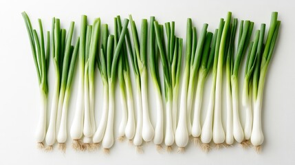 83.Top-down view of a set of green onions spread out evenly across a white background. The bright green stalks and smooth white bulbs stand out against the clean backdrop, their fresh, vibrant