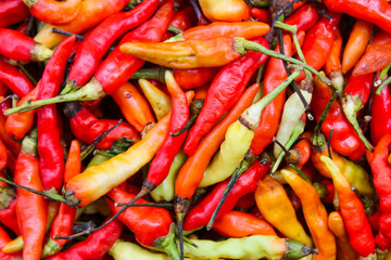 Pile of fresh red chili peppers and Cayenne pepper. Food ingredients