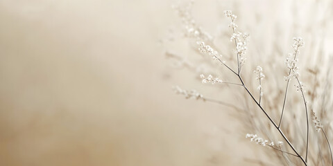 Obraz premium Delicate Whispers: A delicate sprig of dried grass, captured in soft focus against a muted beige backdrop, exudes a sense of quiet beauty and tranquility. 