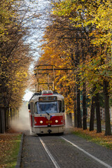 Obraz premium Tram 41 in autumn Prague, Czech Republic