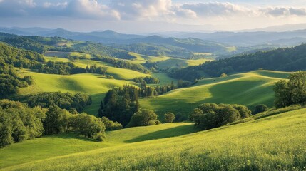 Fototapeta premium Rolling Hills of Green