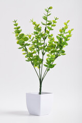 Small artificial tree in a pot isolated on white background. Concept image for interior design and decoration of home and office