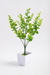 Small artificial tree in a pot isolated on white background. Concept image for interior design and decoration of home and office