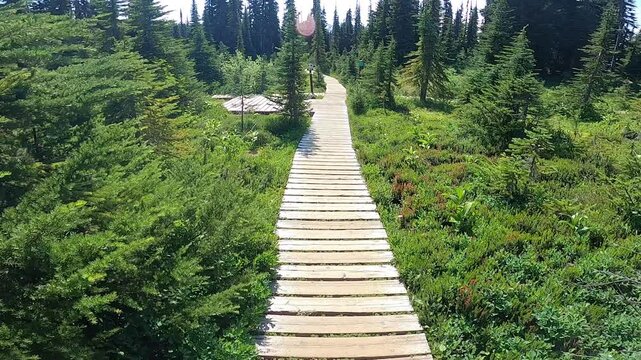 Drone Hiking Path Trail Outdoors Meadow
