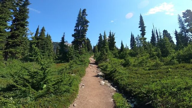 Drone Hiking Path Trail Outdoors Meadow