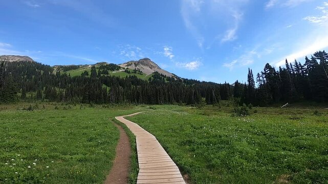 Drone Hiking Path Trail Outdoors Meadow