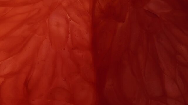 Macro close up of a centre of a grapefruit slice. Abstract fruit background. Slow motion. 