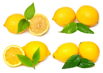 Fresh lemon with leaf slices collection isolated on white background. Citrus fruit