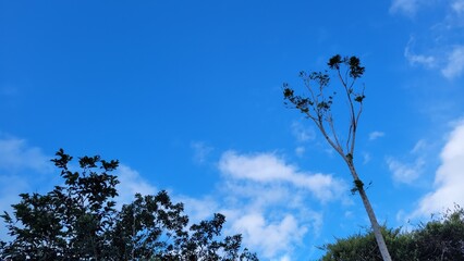 Cielo azul y altas temperaturas: cambio climático 