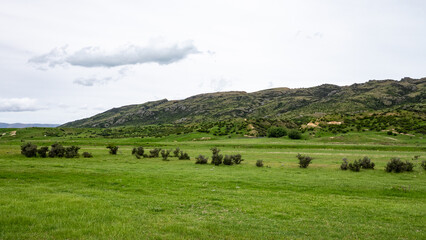 Green fields and hills New Zealand farm land clear day hiking