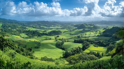 Obraz premium Rolling Green Hills and Lush Landscape