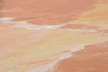 Patterned coloured surface of pond covered with algae in dry season