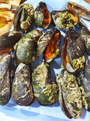 Close-up of big group fresh mussels. Street food.