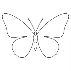 Continuous butterfly single line drawing of vector illustration