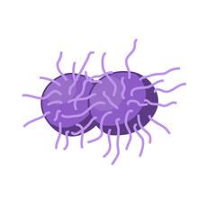 Gonorrhea vector