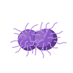 Gonorrhea vector