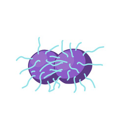Gonorrhea vector