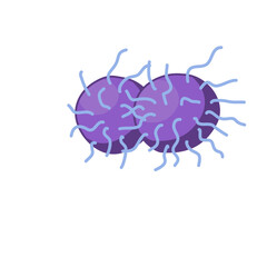 Gonorrhea vector