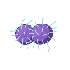 Gonorrhea vector