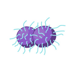 Gonorrhea vector