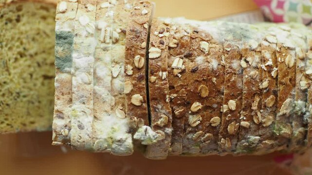 Close-Up of Moldy Whole Grain Bread with Oats
