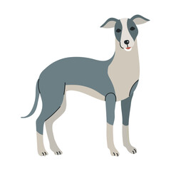Whippet icon clipart avatar logotype isolated illustration