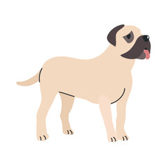 English mastiff icon clipart avatar logotype isolated illustration