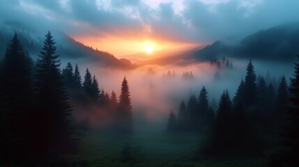 Fototapeta premium Mesmerizing Sunset Over Misty Forest Landscape at Dusk