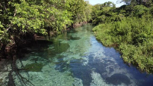 v&iacute;deo de drone do rio sucuri em bonito MS, com fam&iacute;lia de macacos