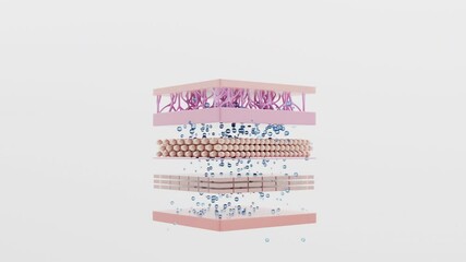 Hyaluronic acid drop penetrating skin layers white background