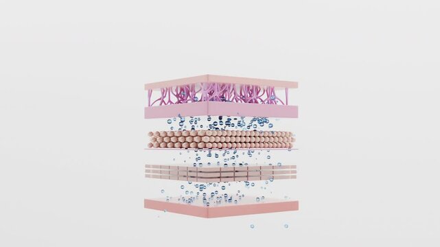 Hyaluronic acid drop penetrating skin layers white background