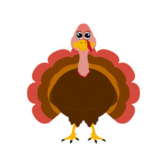 Turkey funny thanksgiving on white background 
