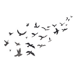 flock of birds flying silhouette 