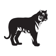 Obraz premium Tiger silhouette