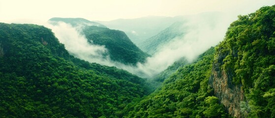 Explore the breathtaking beauty of lush green mountains and misty valleys in nature's embrace