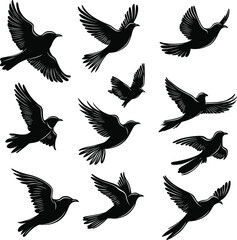Vector Silhouettes of Birds in Flight , Set of Bird Silhouettes in Black Vector,Silhouettes Vector Collection