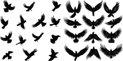 Vector Silhouettes of Birds in Flight , Set of Bird Silhouettes in Black Vector,Silhouettes Vector Collection