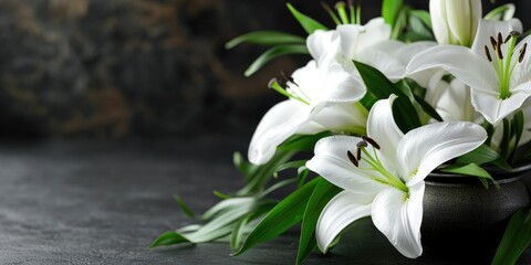 Obraz premium White flowers in a black bowl