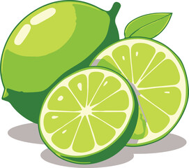 lime  Vector illustration