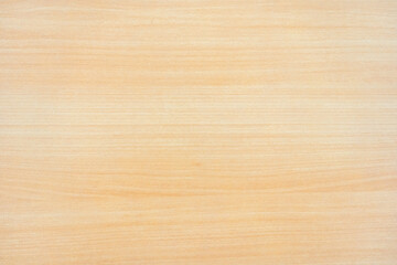 wood texture background