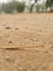 tire tracks in sand