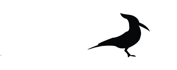 Eurasian Hoopoe Bird Silhouette And Vector Illustration. 