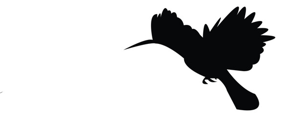 Eurasian Hoopoe Bird Silhouette And Vector Illustration.  © Syed Zakir Hossen