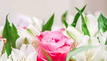 Pink rose in flower arrangement. Decoration roses and ornamental plants