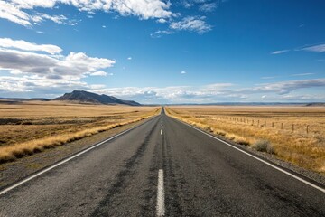 Asphalt road stretching into the horizon, solitary drive, freedom, solitude, landscape photography