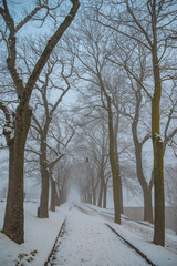 winter foggy alley in Oslo.