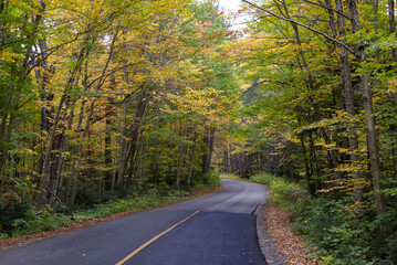 Algonquin Park, Ontario - Canisbay Lake Road in Autumn