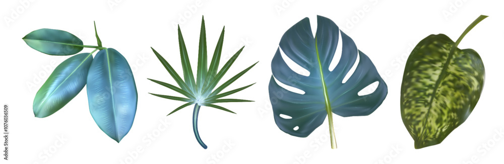 Wall mural Monstera and palm leaf. Tropic plant isolated set. Banana tree green element for botanical illustration. 3d exotic hawaiian design collection. Mexican garden clipart for decorative summer spa