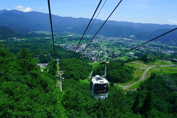 夏の白馬、八方尾根でトレッキング26